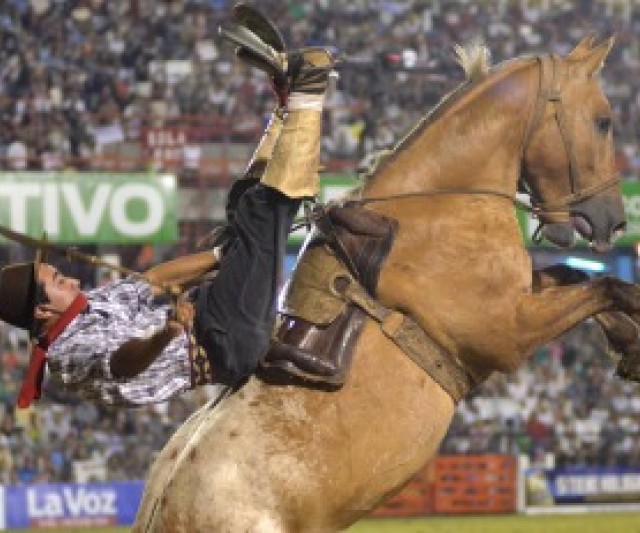 Festival Nacional de Folclore y Jineteadas